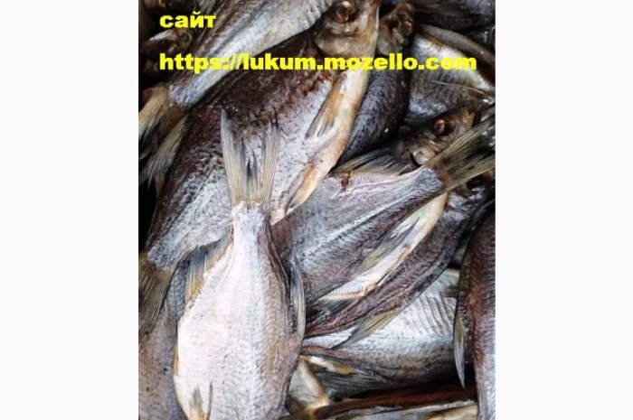 Сушеная рыба разных видов- фото № 3