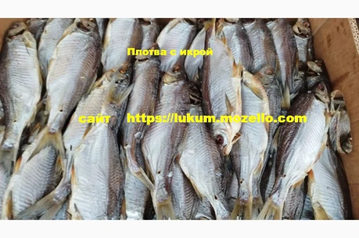 Сушеная рыба разных видов- фото № 5