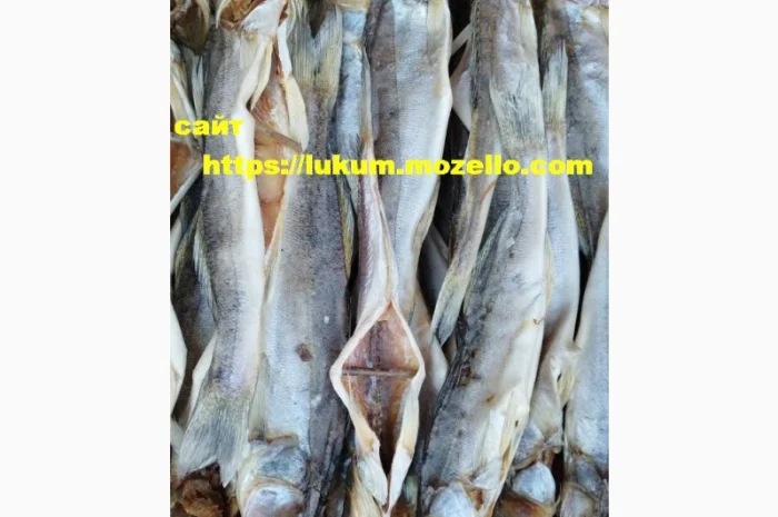 Сушеная рыба разных видов- фото № 6