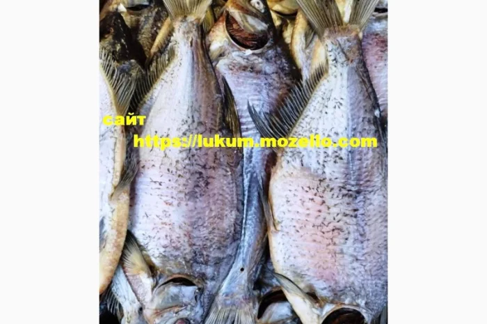 Сушеная рыба разных видов- фото № 7