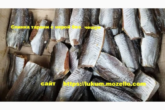 Сушеная рыба разных видов- фото № 8