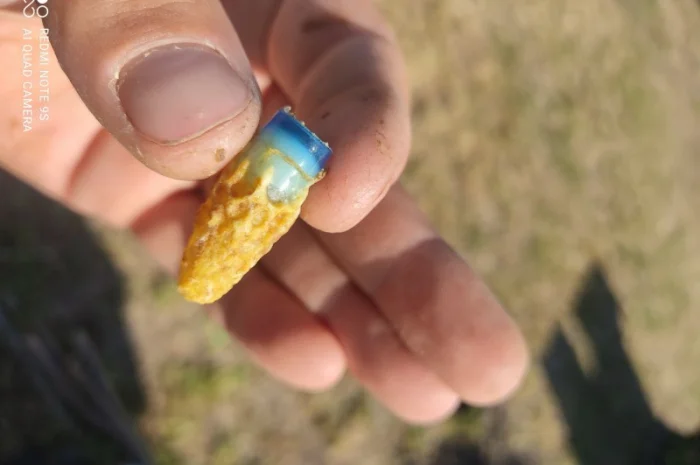 Продаются пчеломатки Карника и Кордован- фото № 1