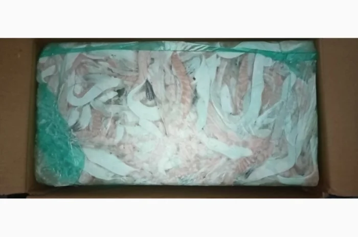 Продажа замороженных брюшек сёмги- фото № 1