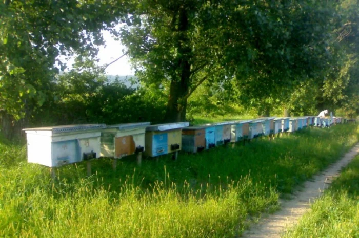 Продаются бжолопакеты 4 рамочные- фото № 1