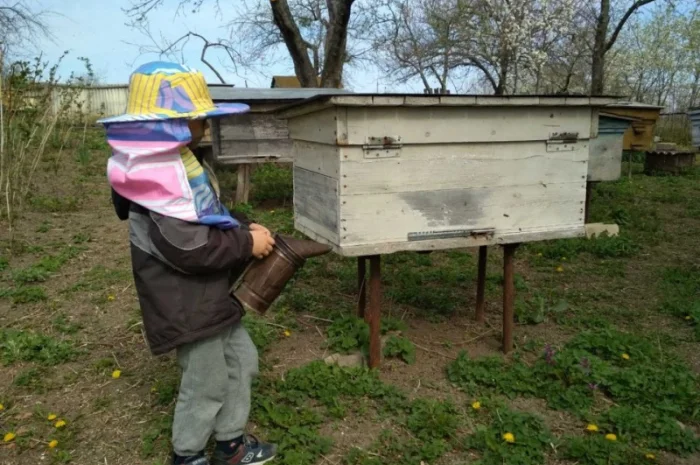 Продаж бджолопакетів української степової породи- фото № 1