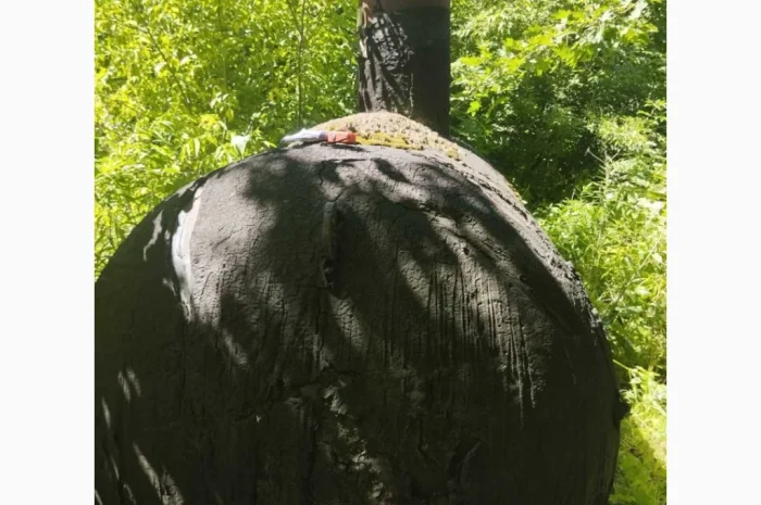 Газгольдер 5 кубов, 2 шт. – резервуары для хранения- фото № 5