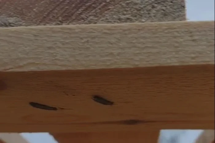 Поддон деревянный сосна усиленный 1200*1000*140- фото № 2