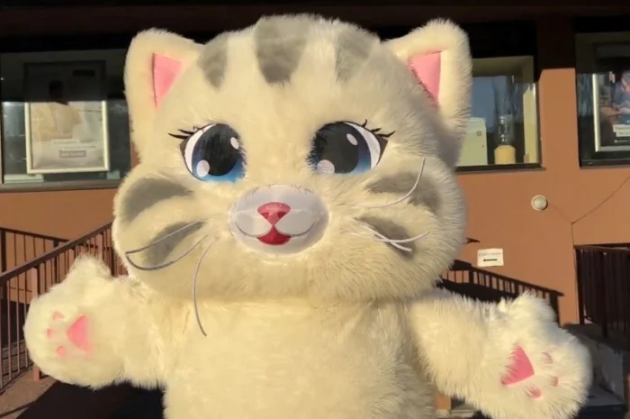 Надувний костюм аніматору Кіт, 4 години роботи, 2.4 м, 60 Вт- фото № 5