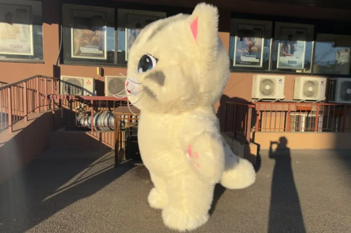 Надувний костюм аніматору Кіт, 4 години роботи, 2.4 м, 60 Вт- фото № 6