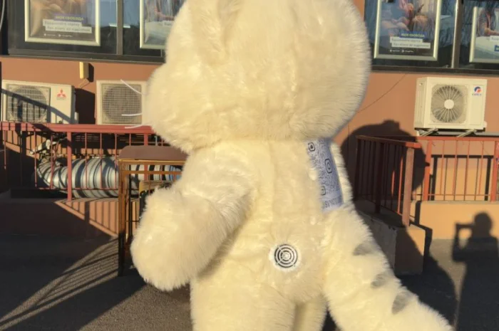 Надувний костюм аніматору Кіт, 4 години роботи, 2.4 м, 60 Вт- фото № 7