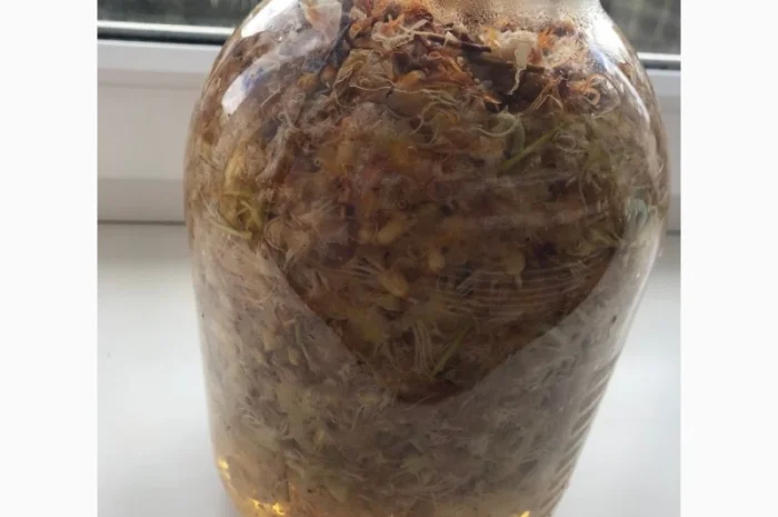 Настоянка каштана для лікування варикозу- фото № 1