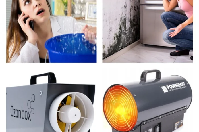 Осушение помещений после затопления и ремонта- фото № 2