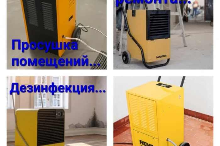 Осушение помещений после затопления и ремонта- фото № 3