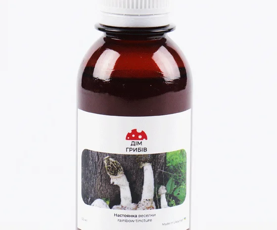 Настойка пантерного мухомора для здоровья- фото № 4