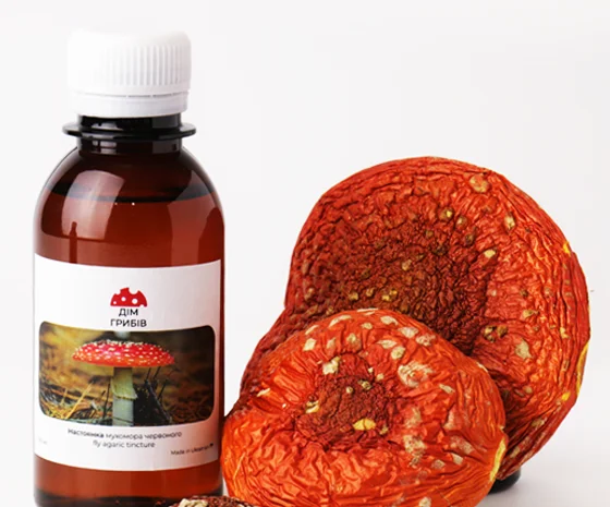 Настоянка червоного мухомора для лікування суглобів- фото № 1