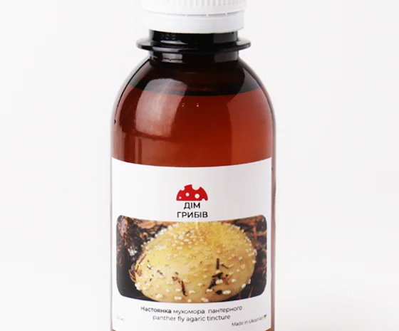 Настоянка червоного мухомора для лікування суглобів- фото № 2