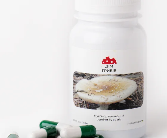 Микродозинг пантерного мухомора- фото № 1