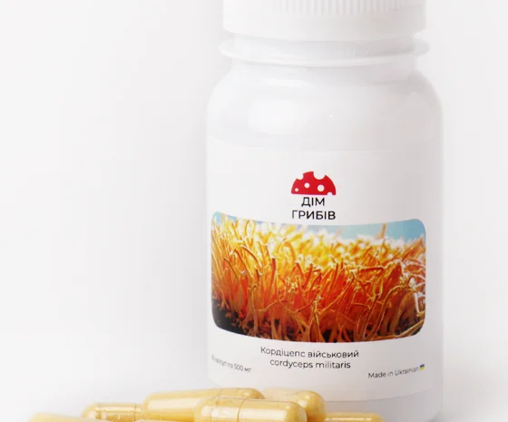 Микродозинг пантерного мухомора- фото № 4