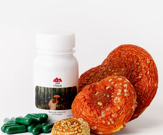 Микродозинг мухомора в Харькове- фото № 1