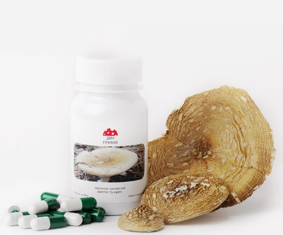 Продается пантерный мухомор- фото № 1