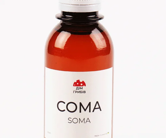 Мухоморы в каплях и капсулах для здоровья- фото № 3