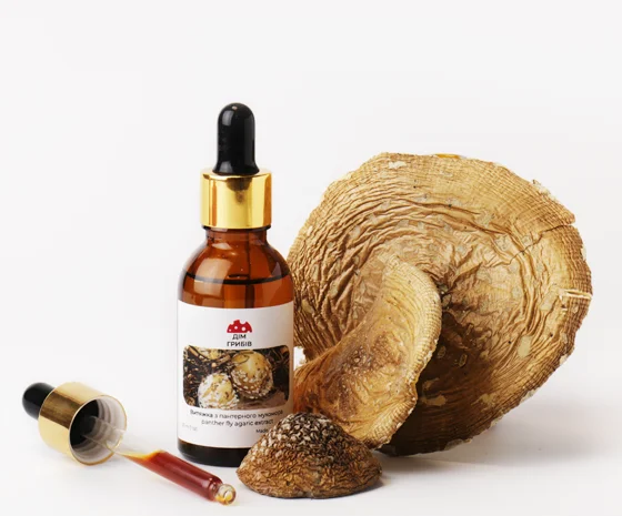 Екстракт мухоморів – натуральний продукт для здоров'я- фото № 1