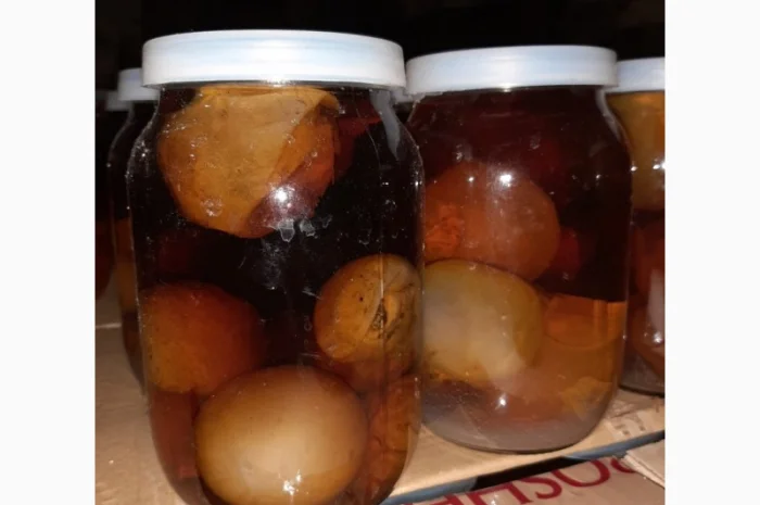 Продается настойка гриба Веселка- фото № 1