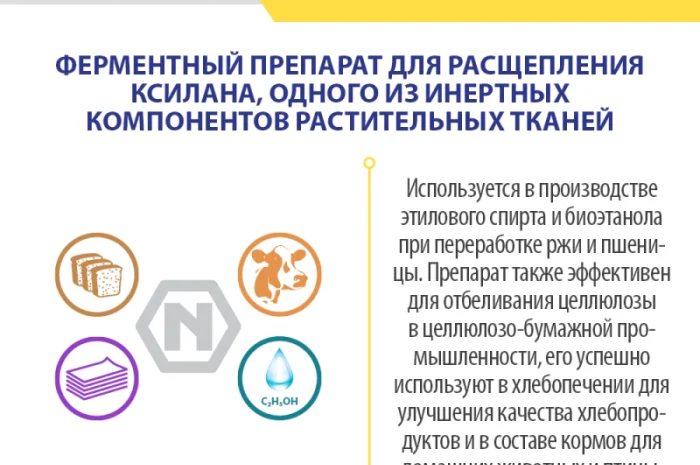 Ксиланаза (Xylanase) – фермент для сільського господарства- фото № 3