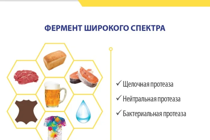 Щелочна протеаза для різних галузей- фото № 4