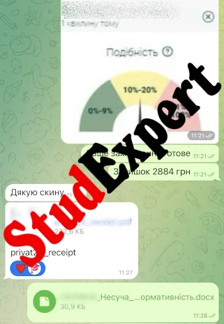 Купить реферат для поступления в докторантуру в Украине- фото № 12