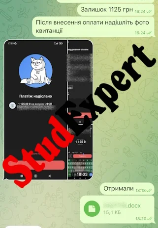 Купить раздел магистерской работы в Львове- фото № 4