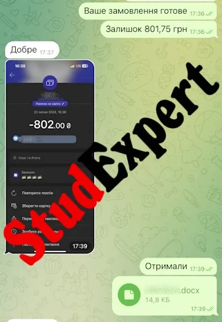 Купить раздел дипломной работы в Украине- фото № 14