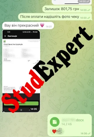 Купить раздел дипломной работы в Украине- фото № 13