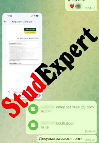 Купить теоретическую часть диссертации в Украине- фото № 9