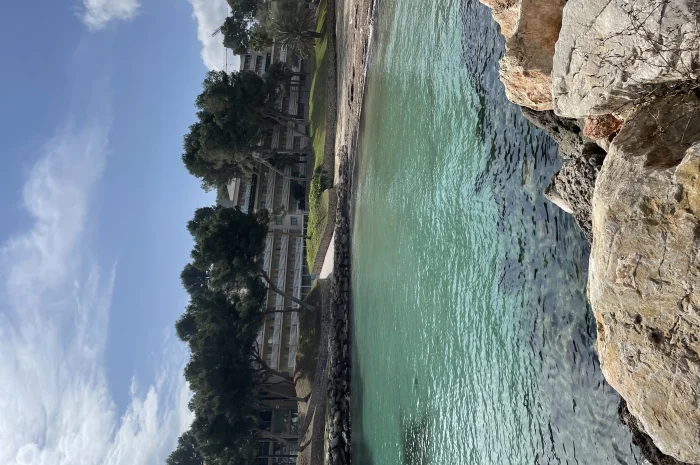 Тест тест- фото № 1