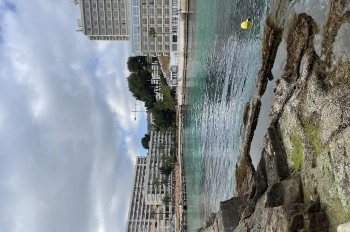 Тест- фото № 1