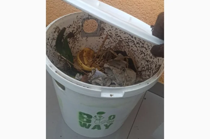 Компостер для каліфорнійських черв'яків для компосту- фото № 6