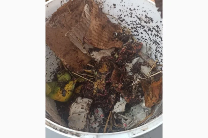 Компостер для каліфорнійських черв'яків для компосту- фото № 8