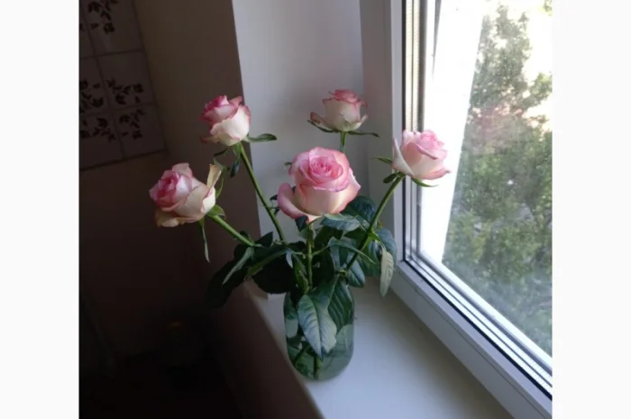 Ремонт откосов на окна и двери в Киеве- фото № 1