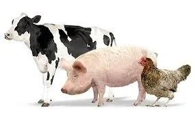 Рішення для виробників тваринництва- фото № 1