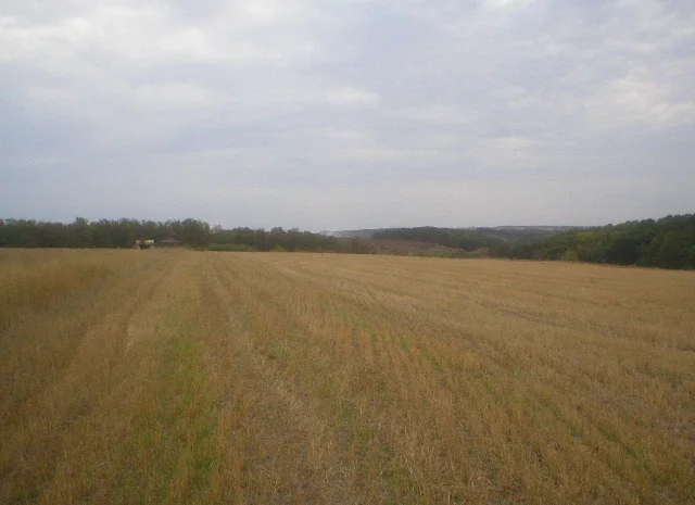 Продается земельный участок 12 га с домом и складом- фото № 1