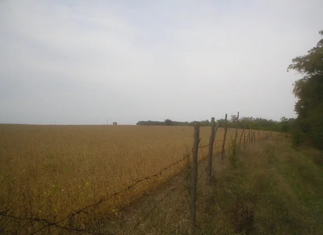 Продается земельный участок 12 га с домом и складом- фото № 2