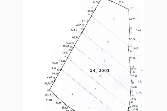 Продается земельный участок 12 га с домом и складом- фото № 3
