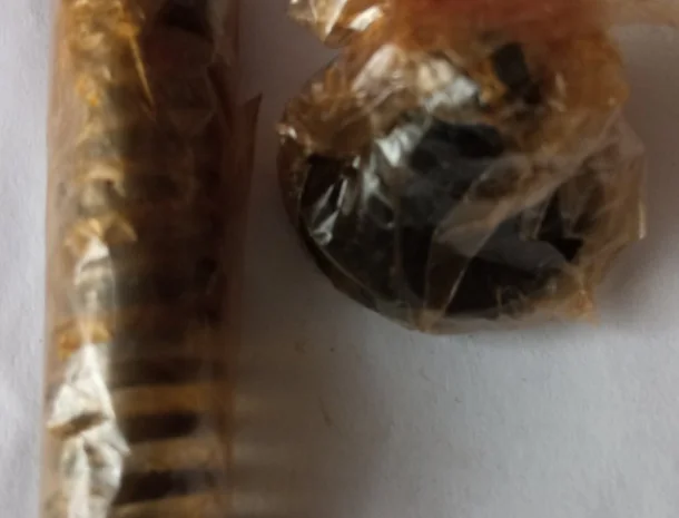 Клапан нагнетательный 9006.3906061 с пружиной и упором для ЯМЗ-236238- фото № 1