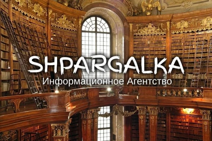 Эмпирическая часть бакалаврской работы на заказ- фото № 1