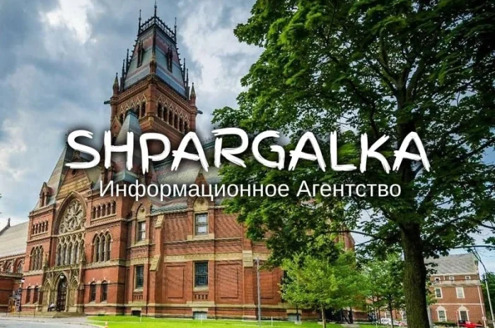 Заказ научно-исследовательской работы аспиранта в Днепре- фото № 1