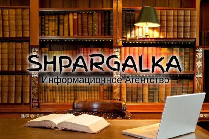 Написание практической части магистерской работы на заказ- фото № 1