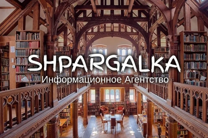 Эмпирическая часть магистерской работы на заказ- фото № 1