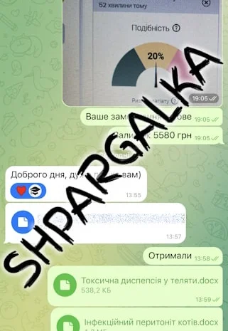 Проверка бакалаврской работы на уникальность на заказ в Украине- фото № 3