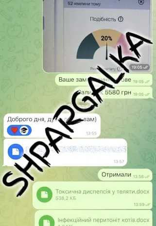 Доработка бакалаврской работы на заказ в Украине- фото № 3